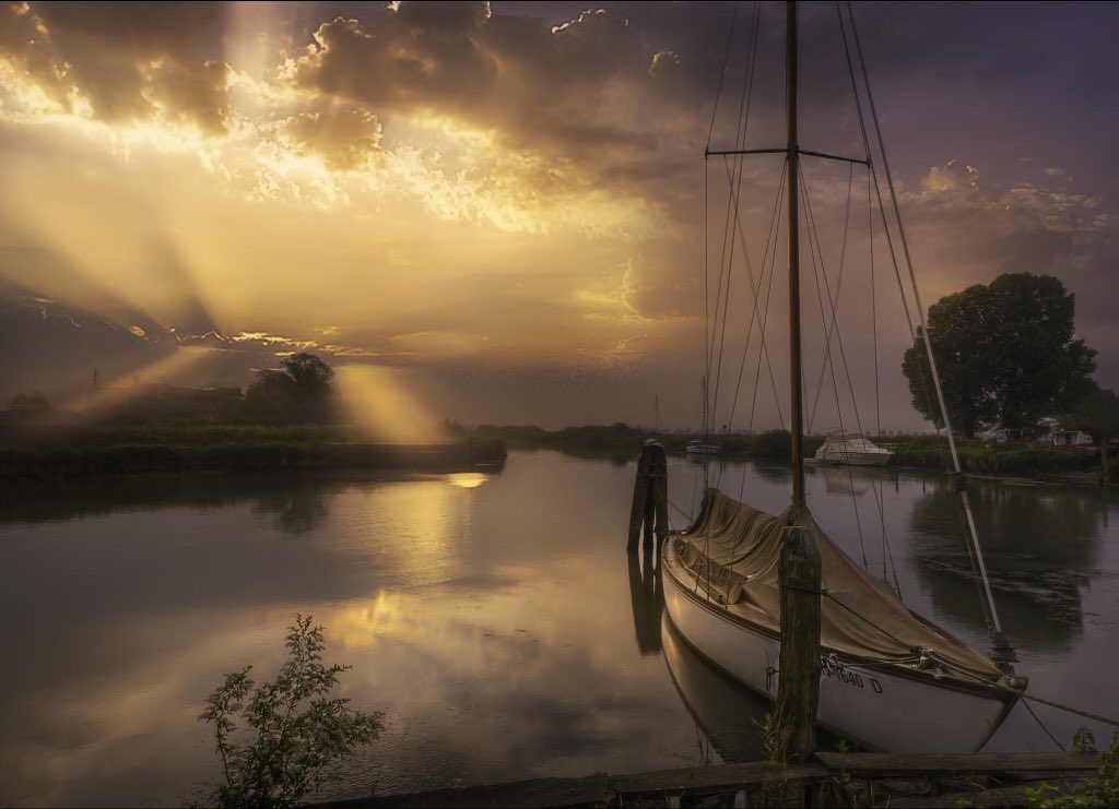 Symphony of light