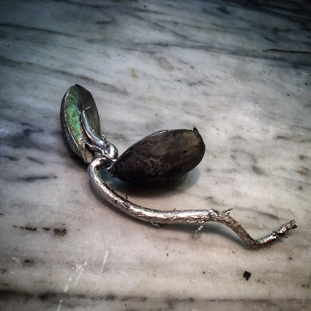 JustinGilday's tweet photo. All things Oak - a year in the life of.
#acorn #seed #nut #shell , #root #geotropic , #tree #trunk #phototropic #leaves #oak - all things Oak - #spring #silver #investmentcasting https://t.co/CPh36zDet5