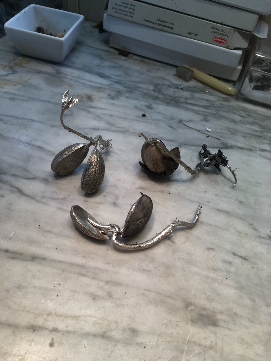 JustinGilday's tweet photo. All things Oak - a year in the life of.
#acorn #seed #nut #shell , #root #geotropic , #tree #trunk #phototropic #leaves #oak - all things Oak - #spring #silver #investmentcasting https://t.co/CPh36zDet5
