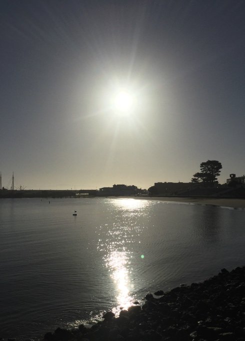 Grateful for so much this morning. Waking up with sunny skies, @Nov_Project_SF at Aquatic Park, sunbeams<a href="/tag/nofilter"class="tags"><span>#nofilter</span></a><a href="/tag/water"class="tags"><span>#water</span></a><a href="/tag/sun"class="tags"><span>#sun</span></a><a href="/tag/beach"class="tags"><span>#beach</span></a><a href="/tag/sf"class="tags"><span>#sf</span></a><a href="/tag/sunbeams"class="tags"><span>#sunbeams</span></a><a href="/tag/cove"class="tags"><span>#cove</span></a>