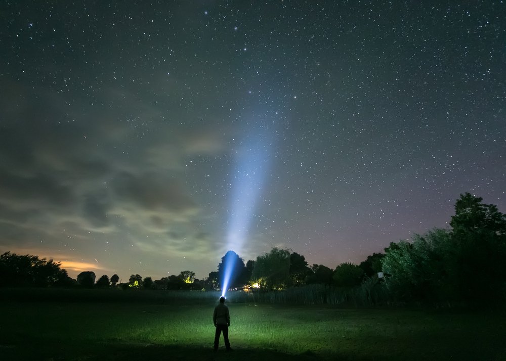 RougePark's tweet photo. #RougeAfterDark is happening June 9th!  Join us in #RougeNUP to learn about wild nocturnal activities in the Rouge https://t.co/awiAiKFeTD https://t.co/39My2E2xhj