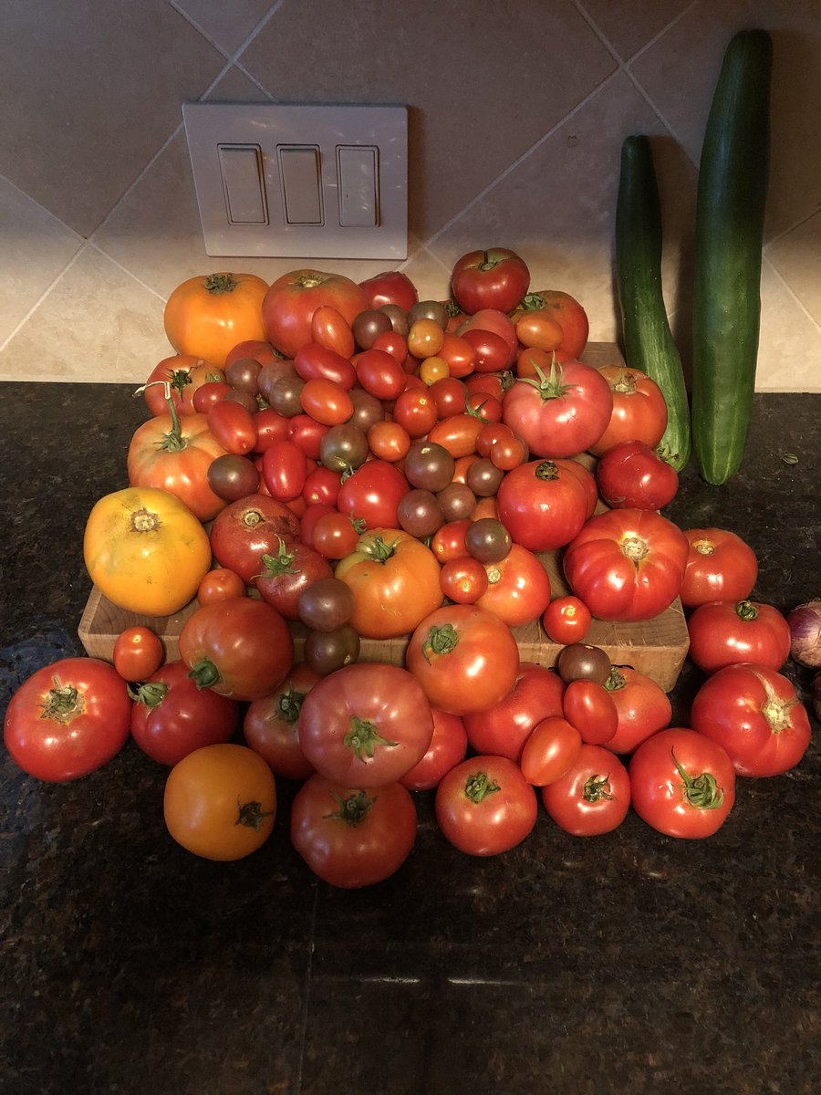 Northampton Veggie Gardeners tweet media