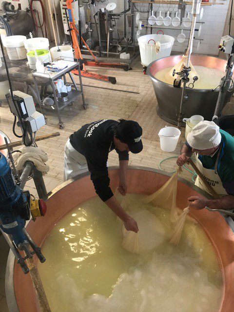 ParmaLook1's tweet photo. #Parmigiano production the real cheesemakers Come with us. #Food #Tour every day https://t.co/pXdLO1DE1G