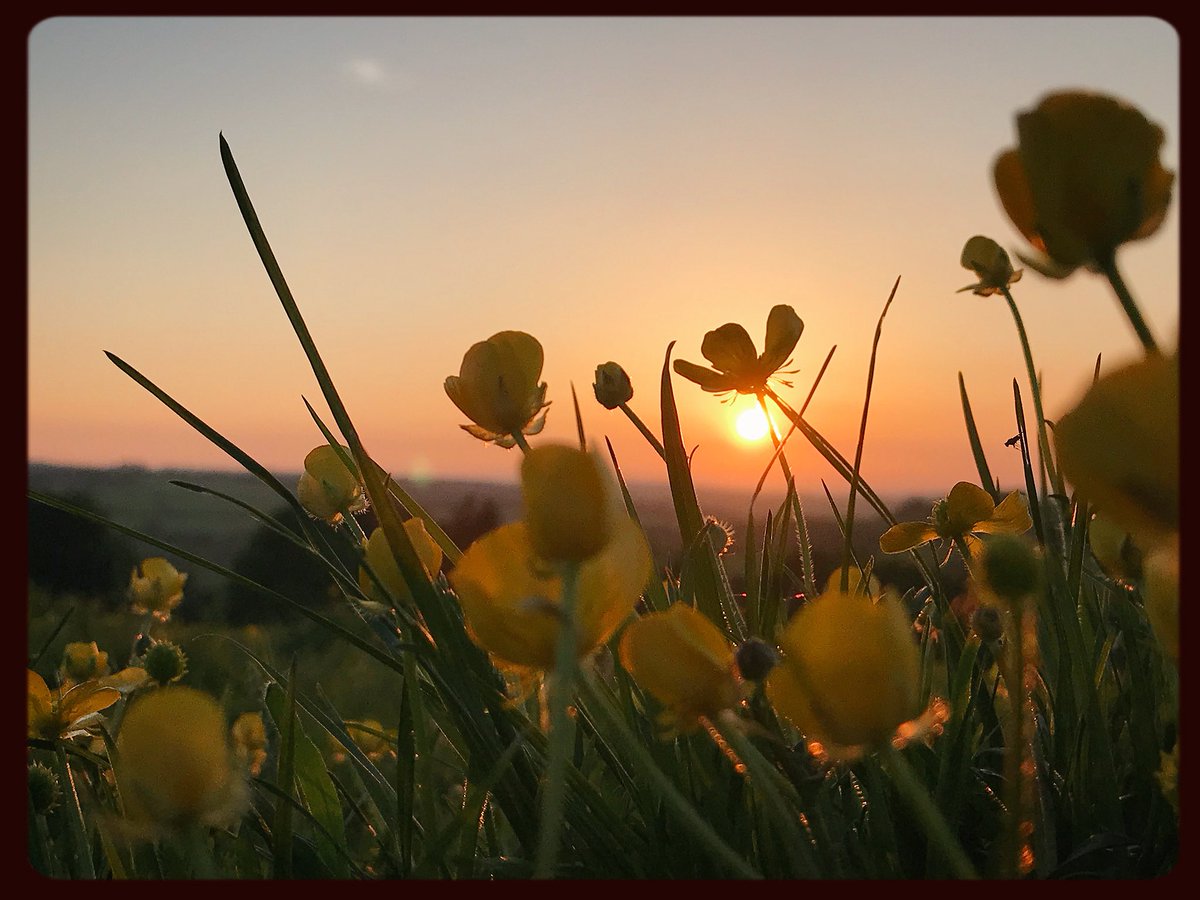 AndrewPBrooks's tweet photo. #Suntset this evening, on the Lizard Peninsular #Cornwall https://t.co/zmfJVqz5HT