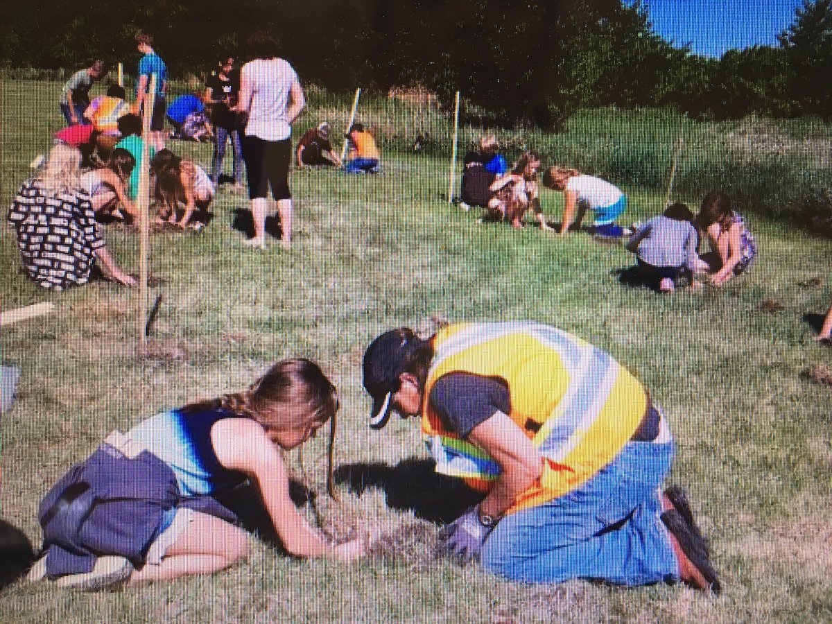hookhorse's tweet photo. Stettler County and School Council band together to plant trees on our grounds. Thanks Mrs Chapman and Mrs Chick for organizing this and students for helping plant and learn about trees! https://t.co/Ilan7OwLea