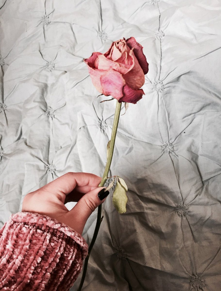 art of me (@worstdayisbest) on Twitter photo 