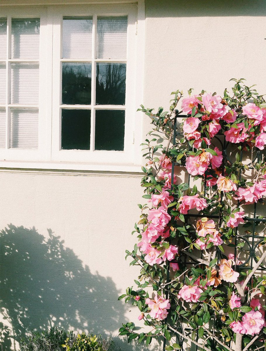 art of me (@worstdayisbest) on Twitter photo 