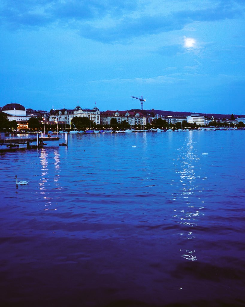 SwissTravels's tweet photo. M o o n r i s e  i n  Z u r i c h  🇨🇭🌝🌟 https://t.co/k0plGbfVtg