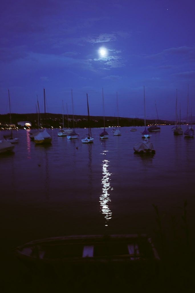 SwissTravels's tweet photo. M o o n r i s e  i n  Z u r i c h  🇨🇭🌝🌟 https://t.co/k0plGbfVtg