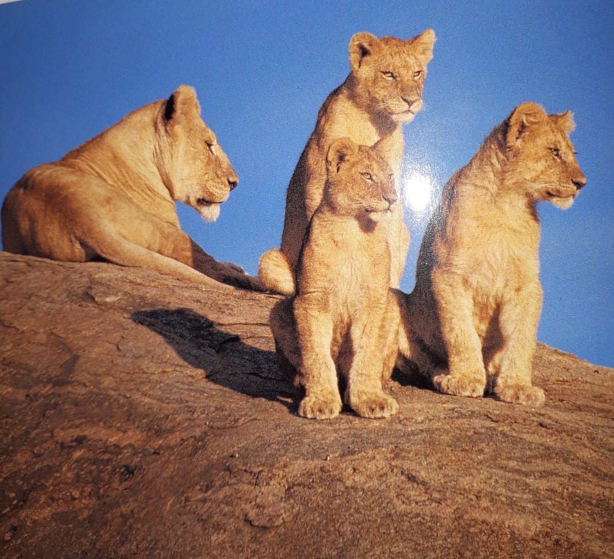 행복은 생각.말.행동이 조화를 이룰 때 찾아온다.
    - 간디.Gandhi