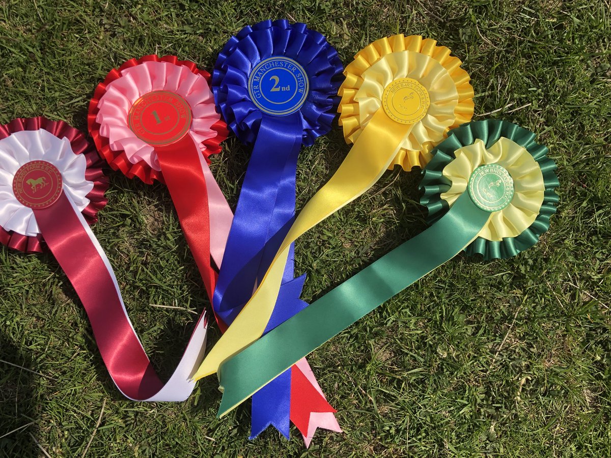 star_stylist's tweet photo. Smashed it ! 1st,2nd,3rd & 4th & a reserve champion ! 🏆🐴🥇😍 I love this boy so much, the best thing I ever did was get back in to my ponys & the one thing I’m actually not too bad at ! 💪🏻 he’s worth all the hours, sweat & tears in the paddock 💕 #welshC #welshsectionc https://t.co/3fMbeRLoQ2