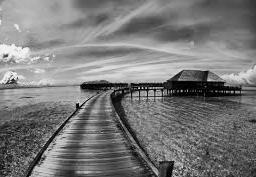 1downloadnet's tweet image. 1download account on Angel, follow us angel.co/1download/
#1download #searchpdf #pdfsearchengine #pdf