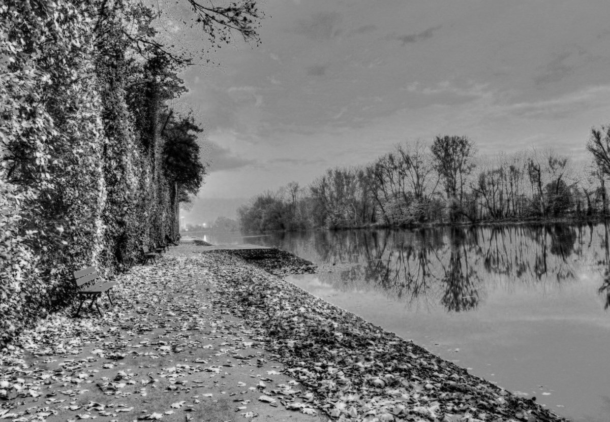 1downloadnet's tweet image. By 2019 we go open source, follow us github.com/searchpdf/
#1download #searchpdf #pdfsearchengine #pdf