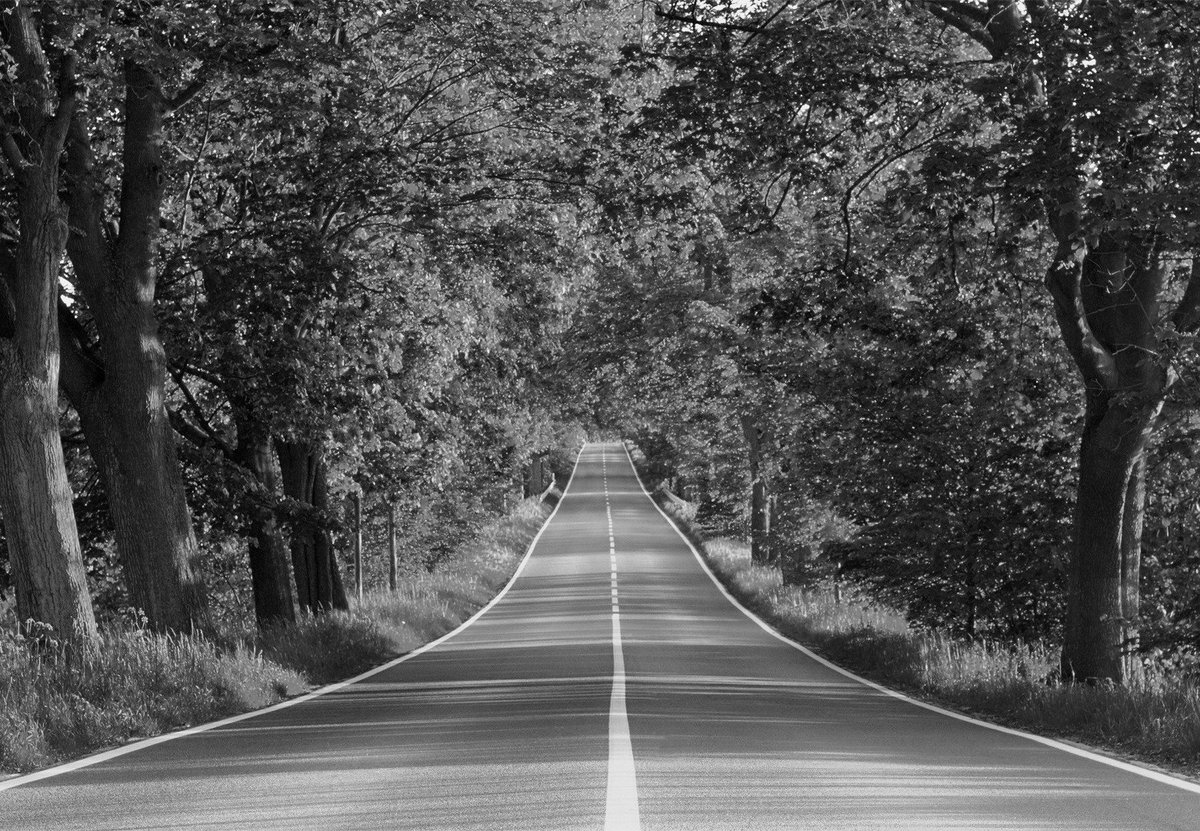 1downloadnet's tweet image. storeboard.com/vasyla2
#1download #searchpdf #pdfsearchengine #pdf