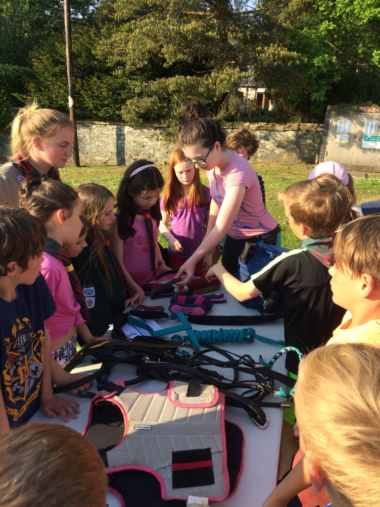 Cubs17th's tweet photo. #Cubs #equestrian activity tonight. Thanks to our guest,  Chloe for her #showandtell https://t.co/0KHMwJpMrL