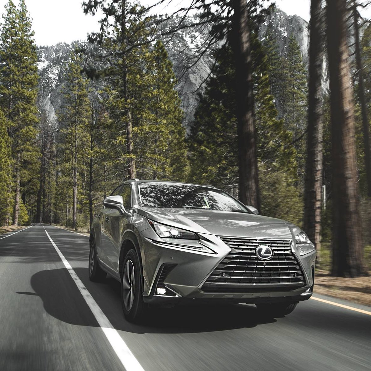 LexusofBarrie's tweet photo. Experience amazing in the Lexus RX this summer! https://t.co/eA87HI4CrS