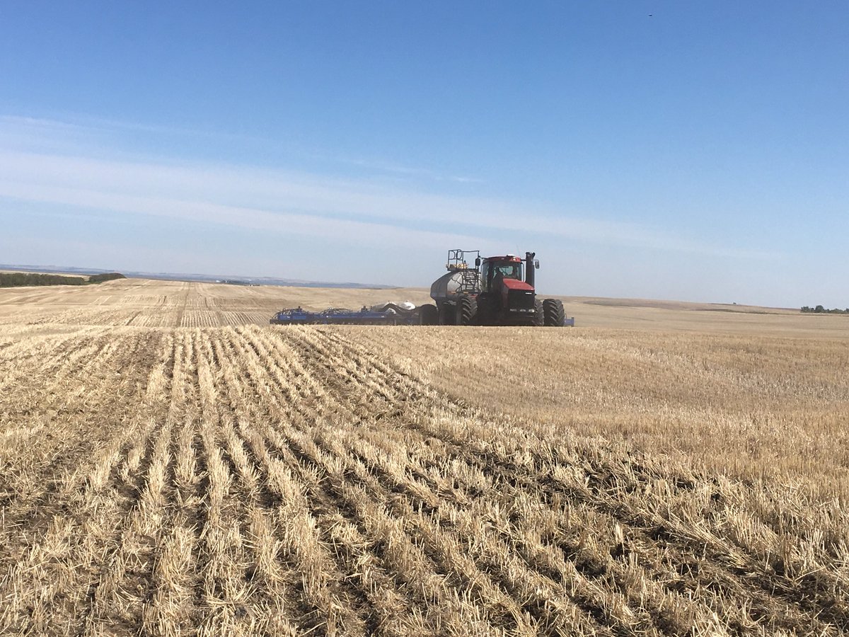 MegDesjardins's tweet photo. Just seeded my Last Plot for 2018!! Thanks to all my amazing cooperators for your continued support!! Here’s a few of my fav spring time shots to celebrate!! #plotseason18 #plant18 that’s a wrap! #westcdnag #ABag https://t.co/O47XtklILO