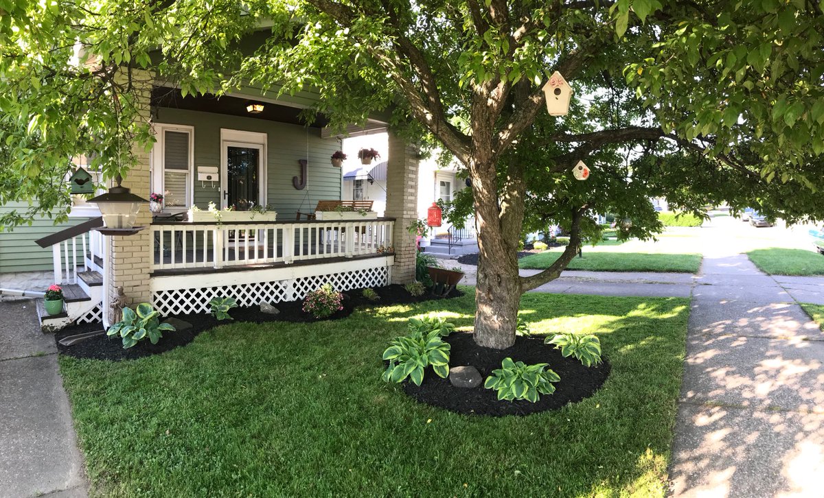 Slammy_Sosa's tweet photo. The homestead is looking fresh today #FreshMulch #LookAtThoseEdges https://t.co/sTAtKglpEt