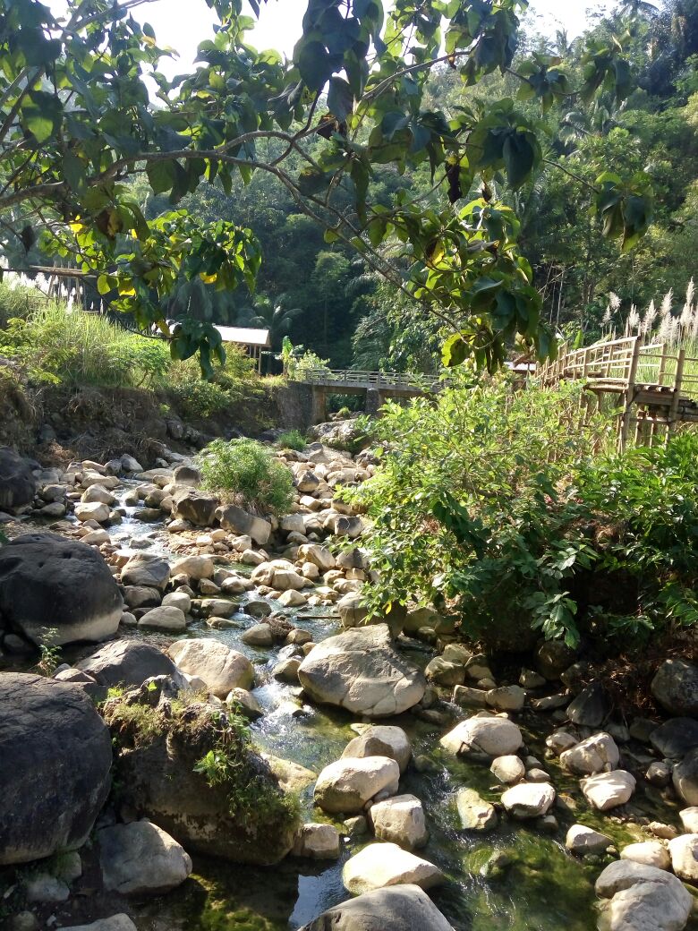 area_jogja's tweet image. Yang baru di Kulon Progo

Wisata alam Watu Bolong Kedung Manding, Pringtali, Girimulyo

Ayo gaes #MampirKulonProgo

Sumber: @watespahpoh