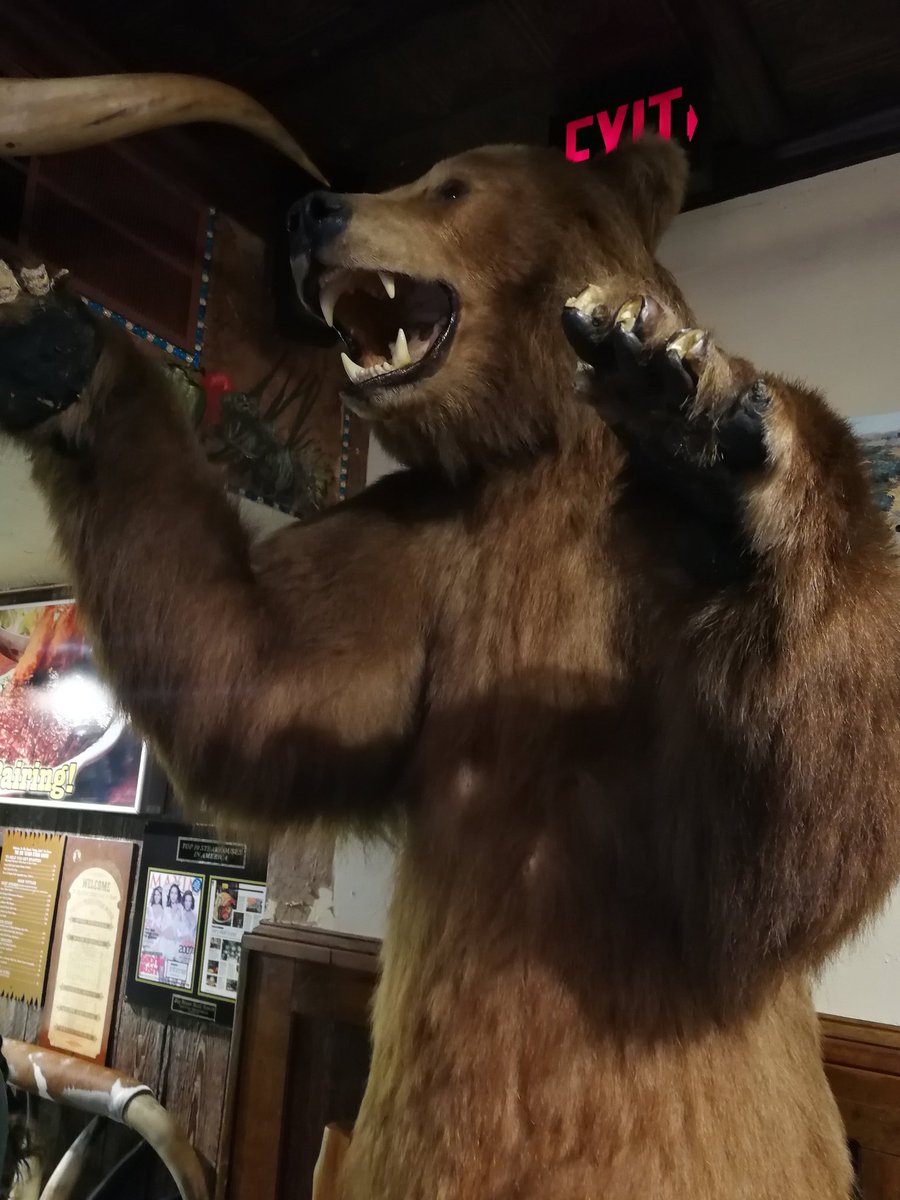 metalplant's tweet image. 18ozの肉を食べました
#thebigtexan