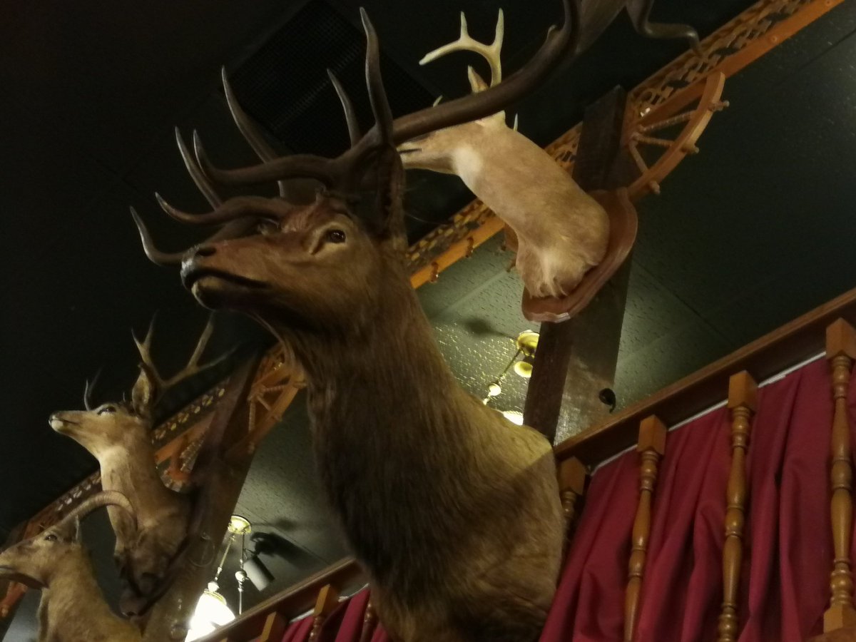 metalplant's tweet image. 18ozの肉を食べました
#thebigtexan