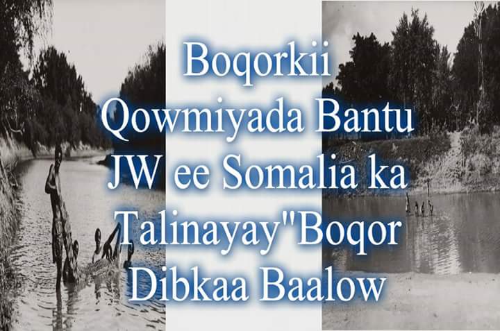 Shakar Yare (@yareshakar) on Twitter photo 