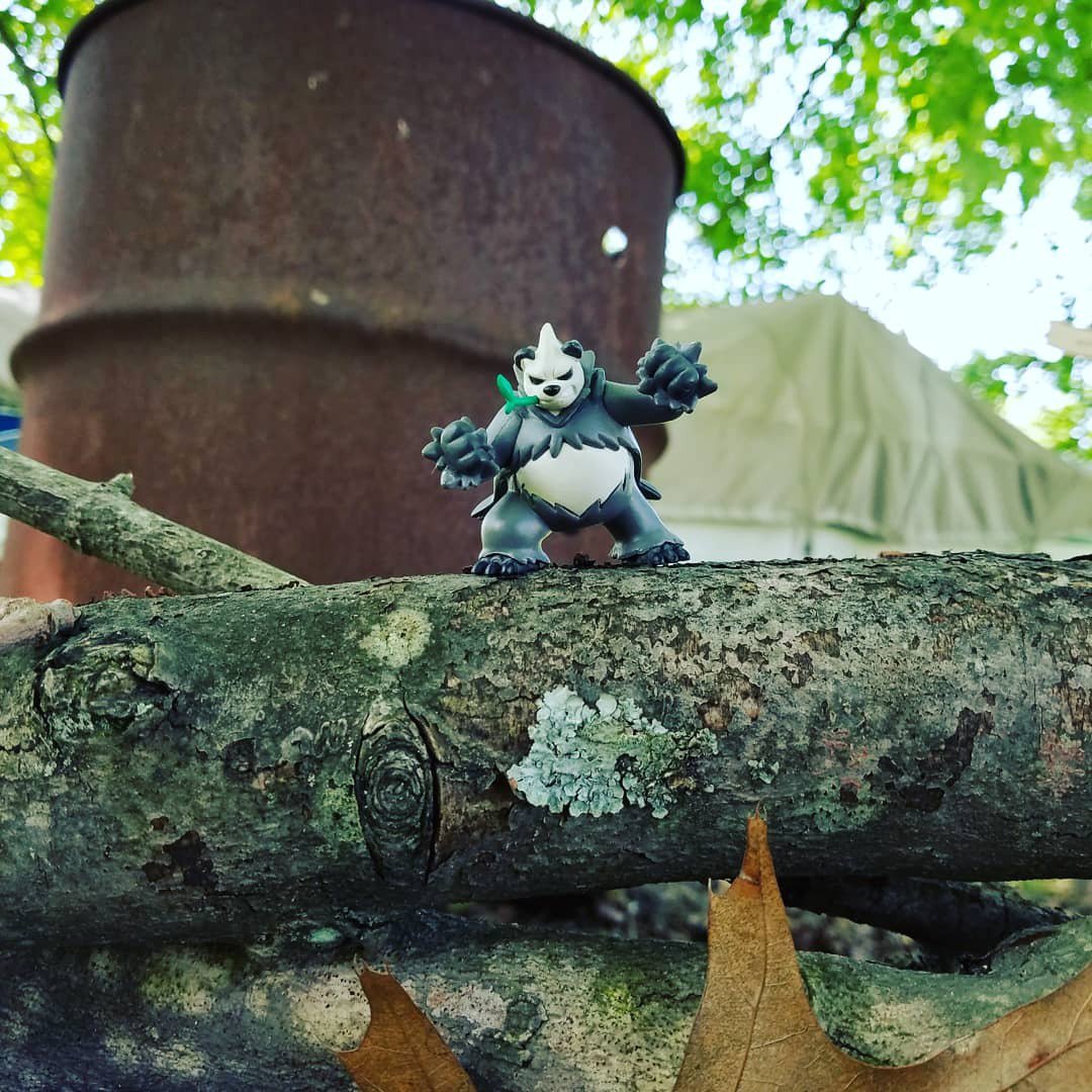 frogalio's tweet photo. some nature shots from near my house it's really cool i like it!
#pokemon #nature #asmr #aesthetics #scenery https://t.co/BclreLasHl