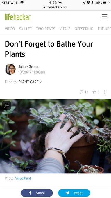 I can barely keep my children clean, now you're telling me I've gotta bathe my plants? https://t.co/