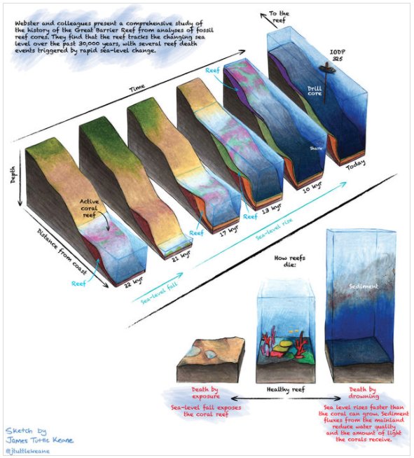 Helen McGregor (@drhelenmcgregor) on Twitter photo Stunning sketch of the key events that shaped the #GreatBarrierReef <a href="/jtuttlekeane/">James Tuttle Keane</a> <a href="/NatureGeosci/">Nature Geoscience</a> nature.com/articles/s4156… Stunning sketch of the key events that shaped the #GreatBarrierReef <a href="/jtuttlekeane/">James Tuttle Keane</a> <a href="/NatureGeosci/">Nature Geoscience</a> nature.com/articles/s4156…