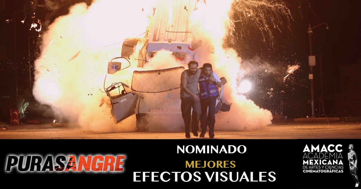 EpocaFilms's tweet photo. #Purasangre presente en los #Ariel60 ¡Nominación a Mejores Efectos Especiales! #RumboAlAriel https://t.co/WLVq9pnpqE