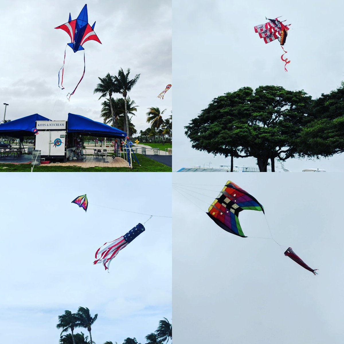 Skyward Kites Inc. Home