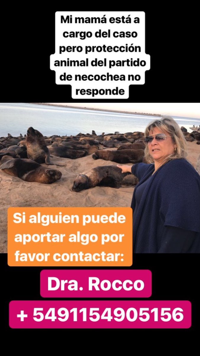 necocheaarg's tweet photo. #NoalMaltratoAnimal #Necochea RT para difundir https://t.co/9NPK6Ibbmt