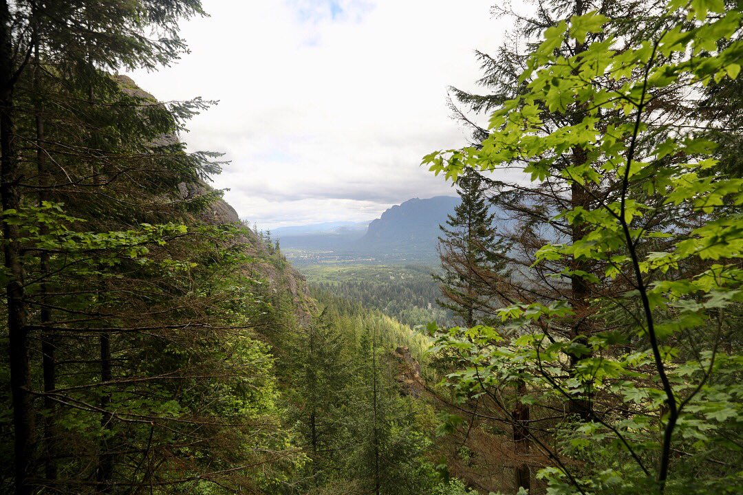 outsidetlimits's tweet photo. It was certainly packed but glad we finally made it up to Rattlesnake Ledge and wore the dogs out too. #winwin #memorialday #washington #seattle #rattlesnakeledge #nature #green #lake #hike #travelphotos #explore #getoutdoors #naturelover #sunshine #enjoythemoment #wideopenspaces https://t.co/Pc3jcQuReq