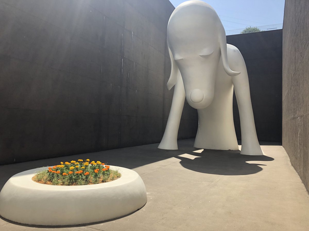 青森県立美術館 おなか空かしたあおもり犬 やっとエサを貰えました 草食系です 花はマリーゴールド あおもり犬 青森県立美術館 青森県立美術館 おなか空かしたあおもり犬 やっとエサを貰えました 草食系です 花はマリーゴールド あおもり犬 青森県立美術館