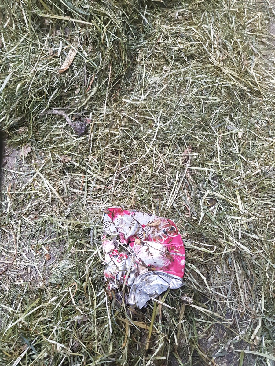 Dit zat in het kuilgras dat de koeien gevoerd krijgen. Mensen gooi aub geen afval in het weiland of de sloot, daar gaan onze koeien van dood! #scherp #oostvlietpolder #leiden #ruimjerommelop