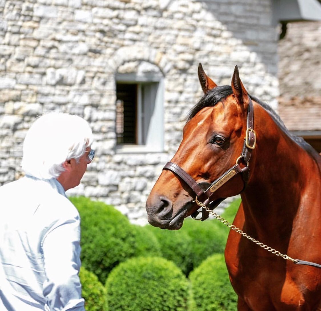 ARodriguezVera's tweet image. Baffert: ¿ Algún mensaje para JUSTIFY ? 

American Pharoah: "Ninguno, JUSTIFY ha demostrado ser auténtico y verdadero, conseguirá su objetivo". "Que continúe divirtiéndose, haciendo lo que más le gusta: correr"
