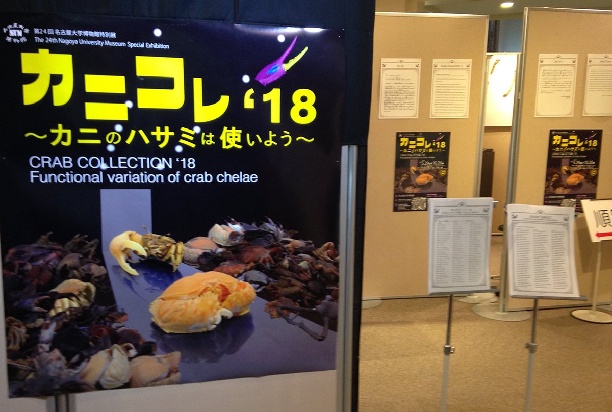 本日スタート！！【第24回名古屋大学博物館特別展カニコレ'18 - カニのハサミは使いよう】ぜひお越しください。入場無料です。num.nagoya-u.ac.jp/event/special/…