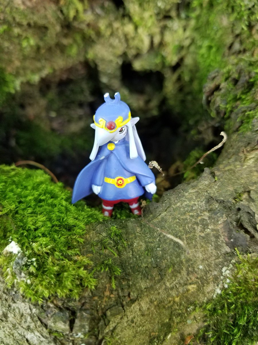 frogalio's tweet photo. the rest of the ones i took today!
#LegendofZelda #Pokemon #ASMR #nature #scenery #aesthetic https://t.co/Ob3BAh4nLm