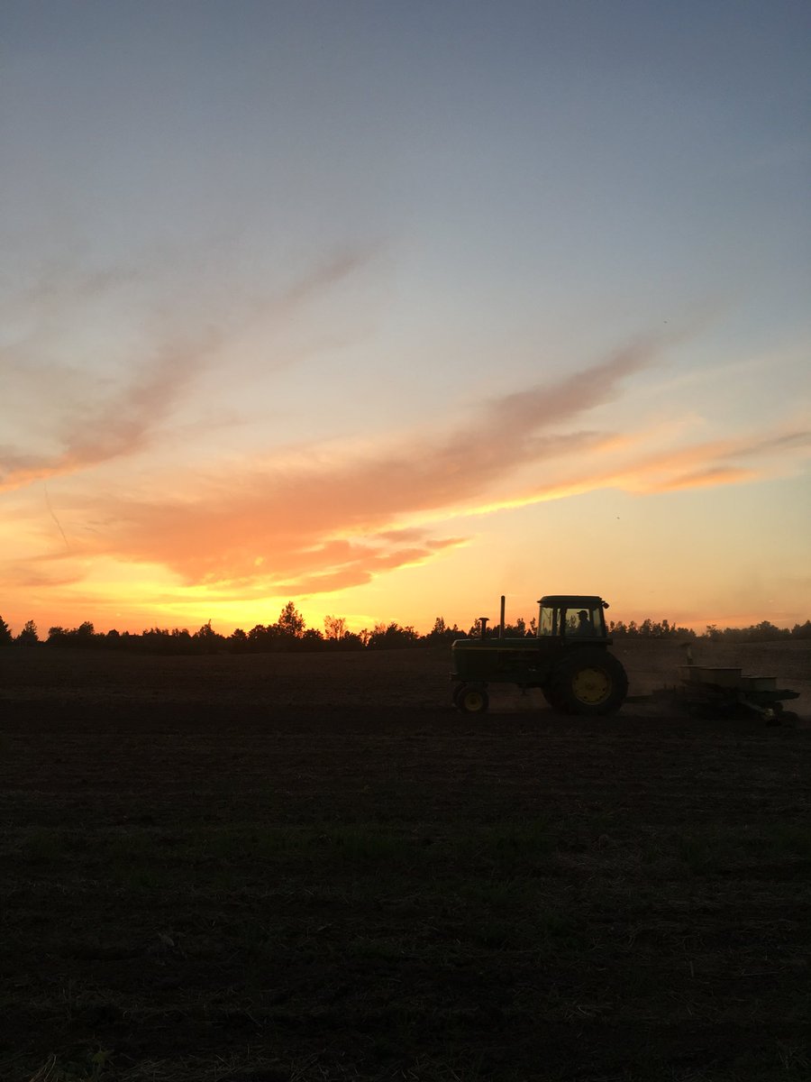 Got the game covered by PVR so I can enjoy moments like this!  #WatchItGrow18, #plant18