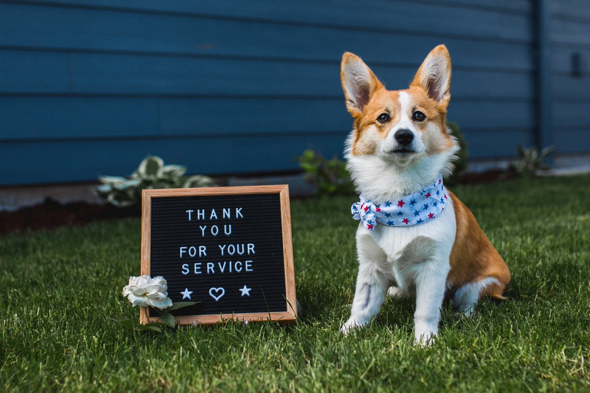 MrsGernader's tweet image. Thank you for keeping us safe. Our hearts go out to all military families ❤🇺🇸