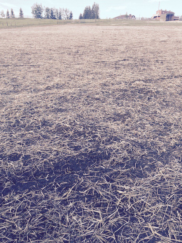 BioAgNeal's tweet image. #plant18 done.... Bring on the rain!