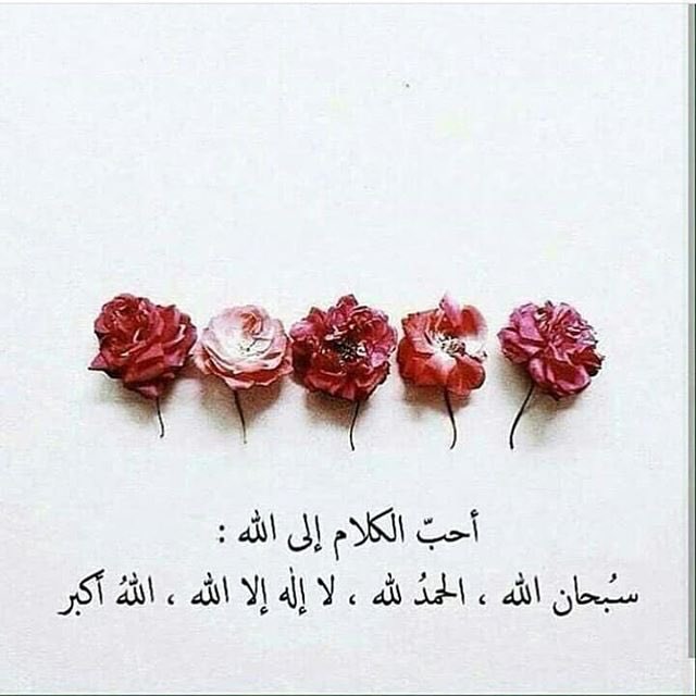 omashrgi's tweet photo. #بتسافر_في_العيد_ولا https://t.co/aAOlIy3ey9