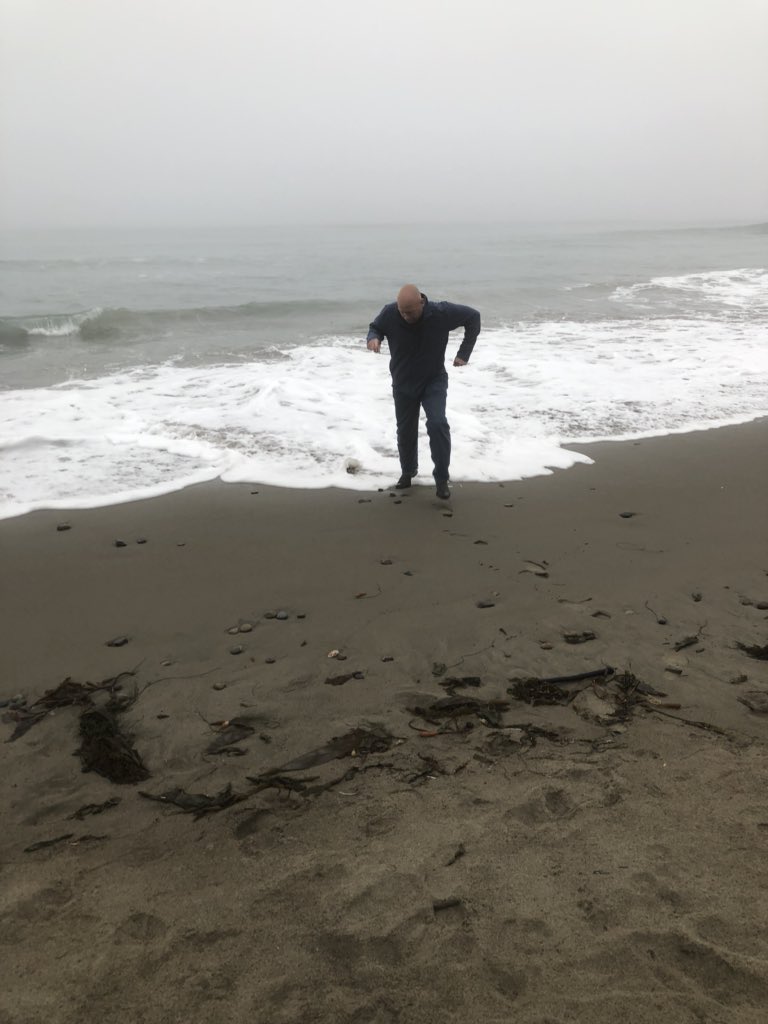 Joni Pawlikowski tweet media