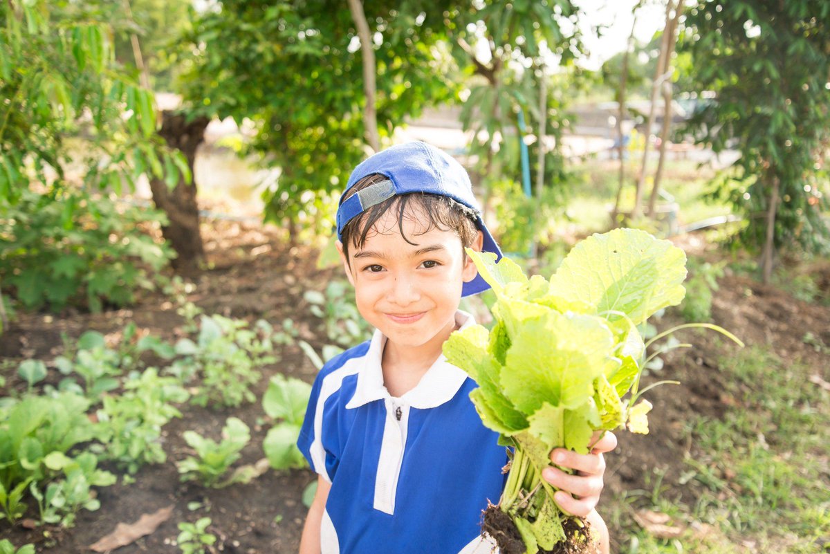 FAO's tweet photo. School gardens are a great way to teach children about what is needed to grow our food and where it comes from. #ZeroHunger https://t.co/zuSd38tpLy