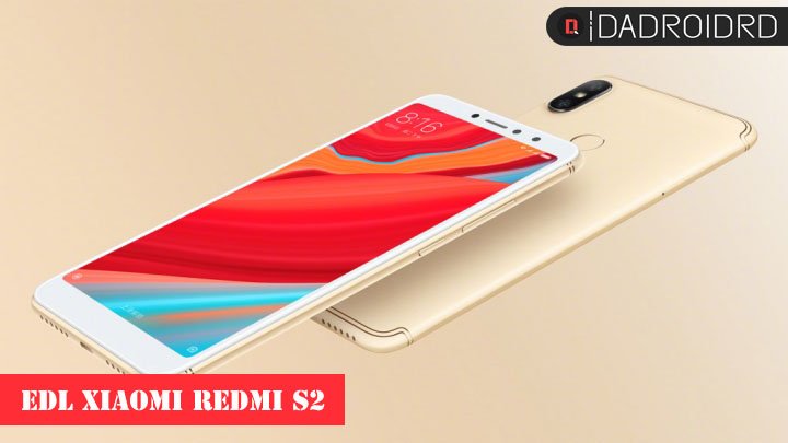 DadroidRD tweet media