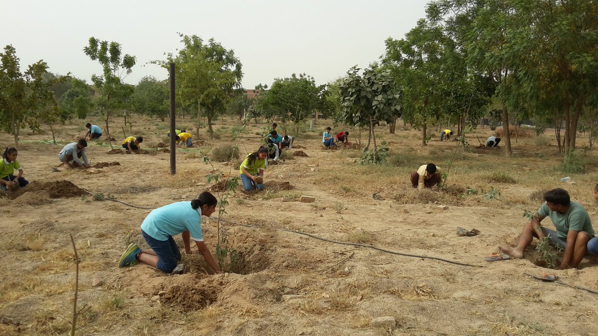 HabitatHealer's tweet photo. #CombatingDesertification through #FamilialForestry in #India
@UNCCD @UNEnvironment @Momentum_UNFCCC @EnvSociology @UNinIndia @ashokgehlot51 @ShashiTharoor @RahulGandhi @Jairam_Ramesh @sociologyatwork @bahardutt @algore @ObamaFoundation @BBCWorld @ErikSolheim @free_thinker https://t.co/M2iQpAGFct