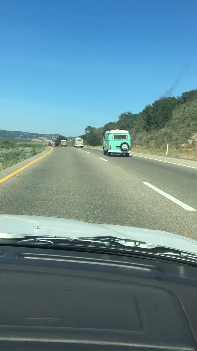 vans are rarely seen hunting together