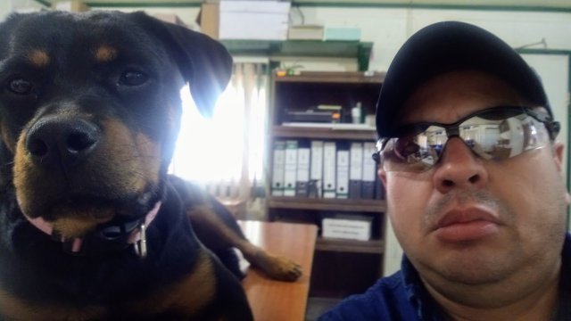Cruiz1993's tweet photo. Mi compañera de trabajo.. Blacky 8 meses.. https://t.co/tgMX4BlpLU