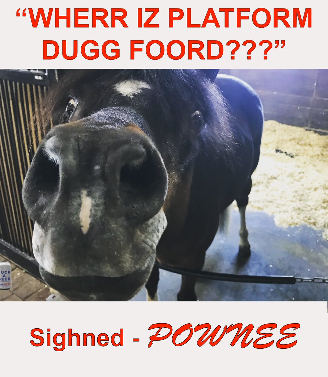TheJasonPugh's tweet photo. Hey, @fordnation, POWNEE asks "Why are you afraid of releasing your platform? What's in it that will scare everyone away?" #DougFord #MrPlatform
#onpoli #OnElxn #OntarioVotes #cdnpoli #pnpcbc #Ontario #TOPoli #PCPO #ONDP #OLP #Toronto #OntarioProud https://t.co/PtgAiX1hoL