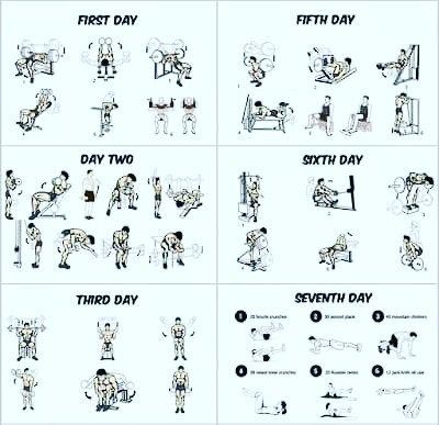 boxing_days's tweet photo. New post (#workout #healthyliving #training #excerciseguide #goals #fitfam #fitspo ...) has been published on  - https://t.co/yo15Dk41hC https://t.co/4ElYKhLBne